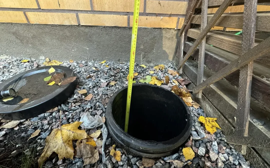 Kuntotarkastajan vastuu
