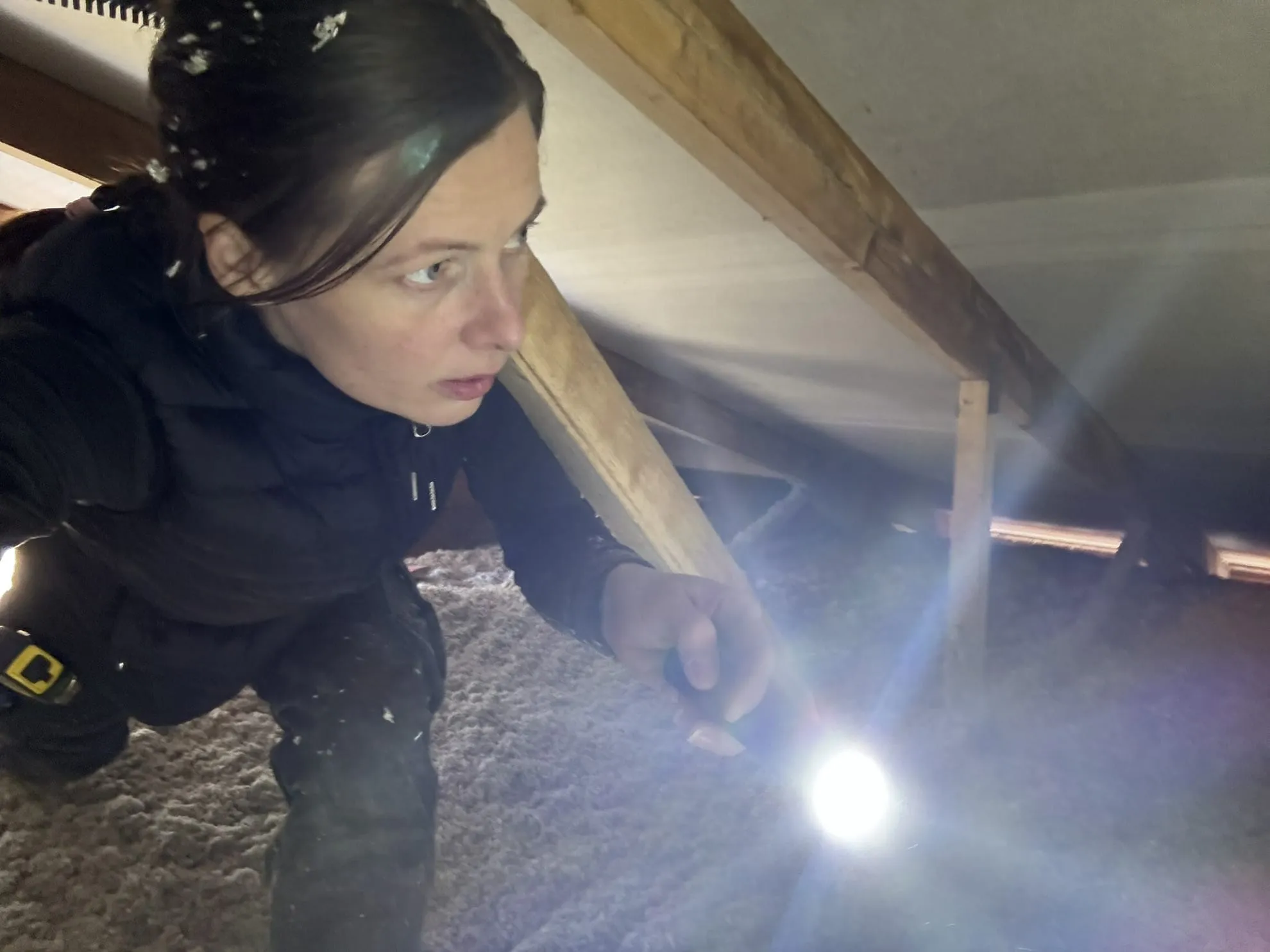 IMG_2508_converted IMG_2508_converted