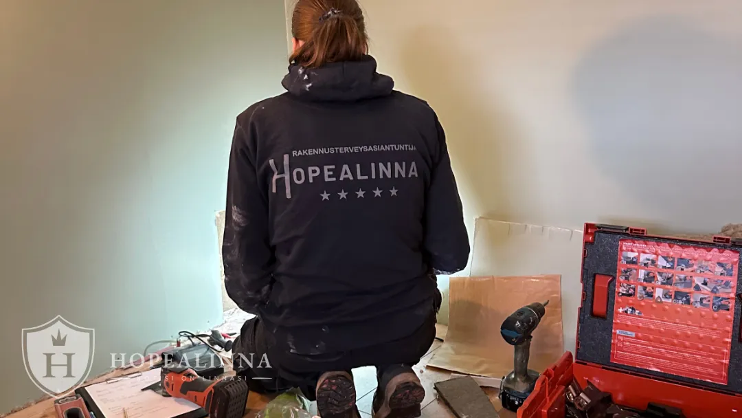 37_Hopealinna_kuntotarkastus 37_Hopealinna_kuntotarkastus